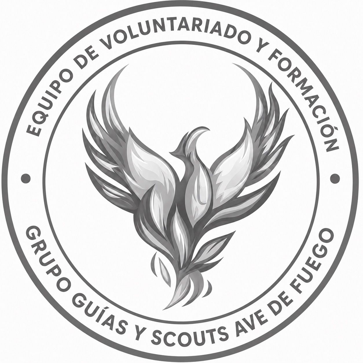 Voluntariado y Formación