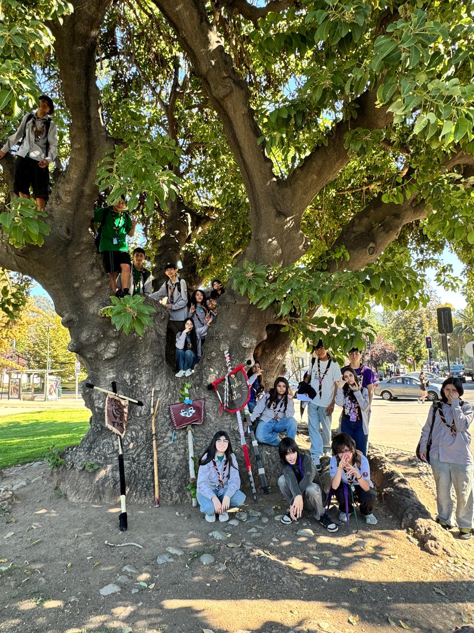 Jóvenes scouts en el árbol